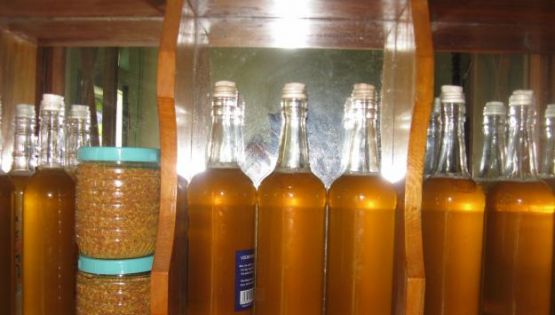 Mật ong rừng nên bảo quản vào chai nhựa hay chai thủy tinh thì tốt?