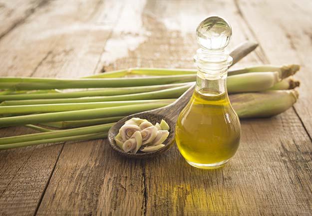Sả hoặc tinh dầu sả đuổi muỗi rất hiệu quả